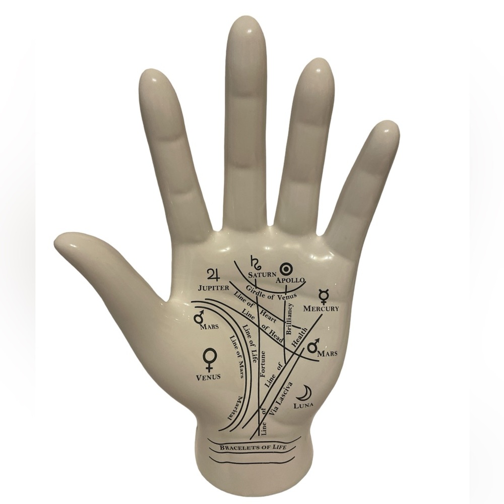 Hand scalpture with printed labels 2.5x9.5x6.25 inches